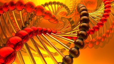 BIOCENTRISM BEGINS AND ENDS WITH DNA