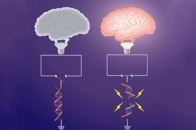 PROOF OF MEMORY IN THE DNA